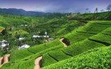 Krásy jižní Srí Lanky s nakouknutím do území hor - hotel