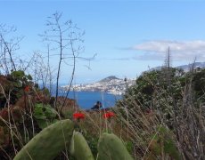 Poznávací zájezd Madeira květinová a turistická