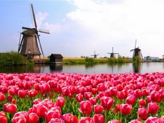 Mozaika Holandska - Pobytové zájezdy