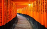 Katalog zájezdů, Japonsko - zlatá cesta a Havajské ostrovy