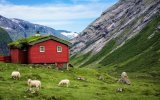 Katalog zájezdů, Toulky norskou přírodou