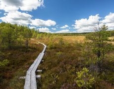 Romantické putování Finskou divočinou