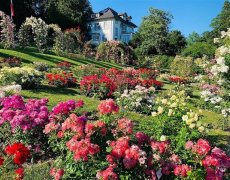 Zámek Laxenburg a slavnosti růží v Badenu