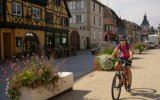 Alsasko na kole – vinná stezka