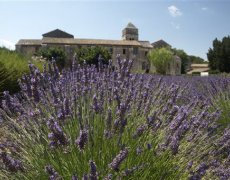 Provence s vůní levandule a koupáním, letecky