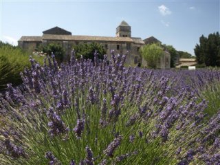 Provence s vůní levandule a koupáním, letecky - Francie - Pobytové zájezdy