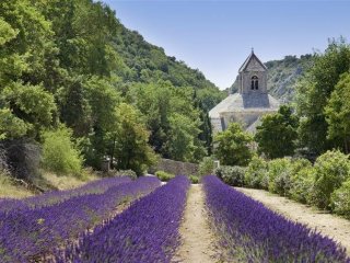 Francie - Provence, Vůně Levandule - Francie, Provence - Azurové pobřeží - Pobytové zájezdy