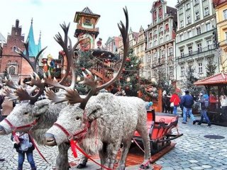 Podmanivá vánoční Vratislav - Pobytové zájezdy