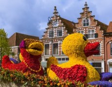 Belgie a Nizozemsko | Květinové korzo a květinový park Keukenhof
