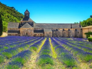 Báječná Provence - Poznávací zájezdy