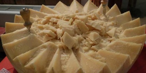 Folgaria - Hotel Grizzly