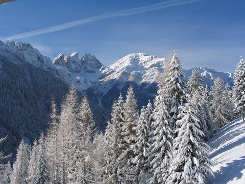 Hotel Orsa Maggiore - Falcade