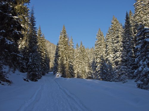 Pinzolo - Hotel Olympic Regina+