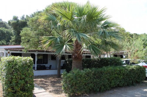 Villaggio Grotta dell' Acqua - Peschici