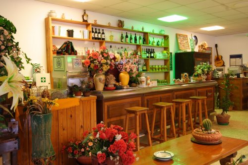 Hotel Cesotta - Forio