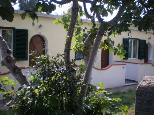 Hotel Hibiscus S - Forio