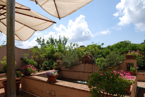 Portoferraio - Apartmány La Limonaia