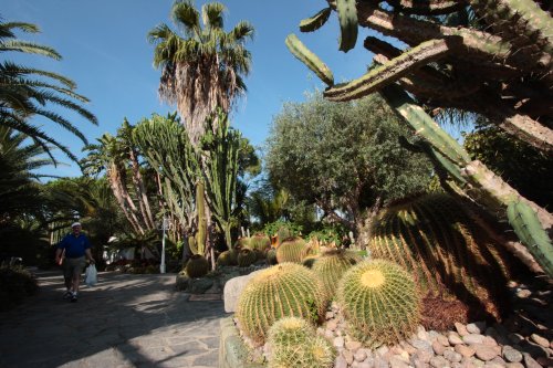 Forio - Hotel Mediterraneo