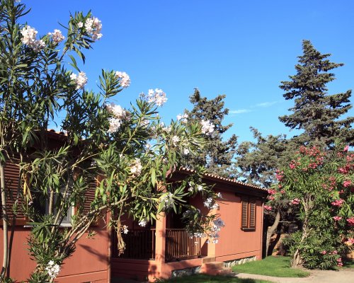 Villaggio Club degli Amici - Pescia Romana