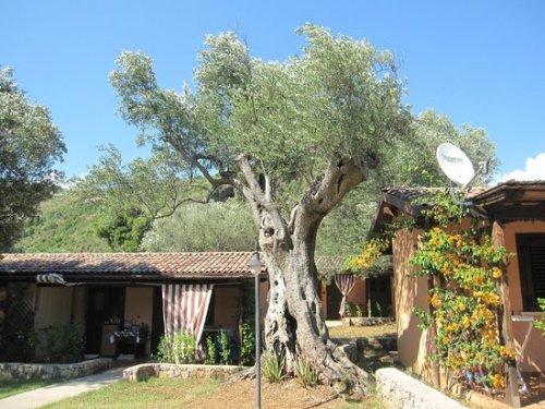 Marina di Camerota - Villaggio Cala di Luna