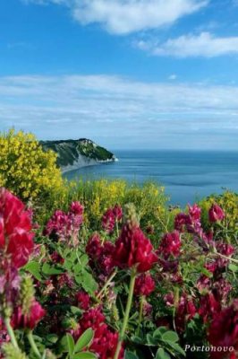 Numana - Camping Riviera Village