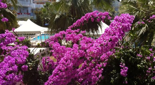 San Benedetto del Tronto - Hotel Domus