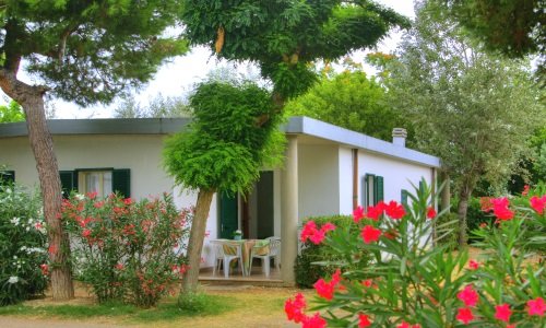 Stork Camping Village - Roseto degli Abruzzi