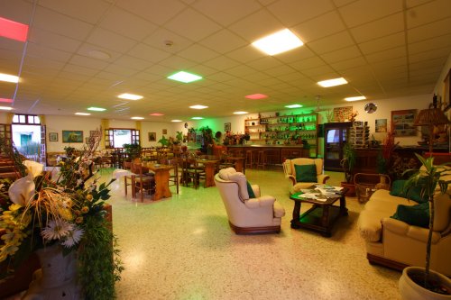 Forio - Hotel Cesotta