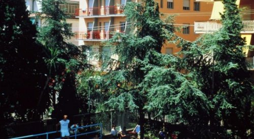 Pietra Ligure - Hotel Minerva
