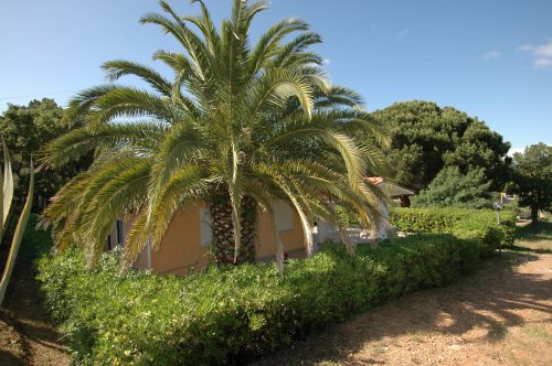 Residence Villino Nel Bosco - Capoliveri