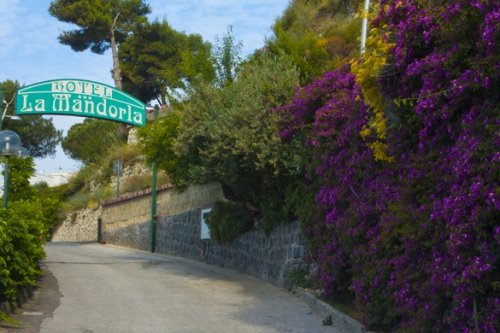 Hotel La Mandorla