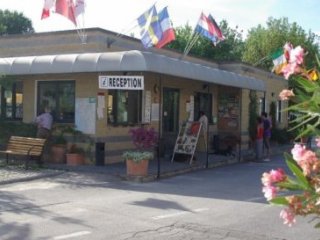 Camping Village Torre Pendente - Pisa