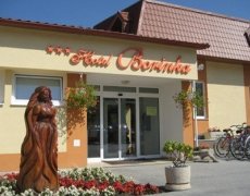 Hotel Borinka