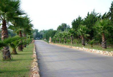 Torre Rinalda Camping Village - Torre Rinalda