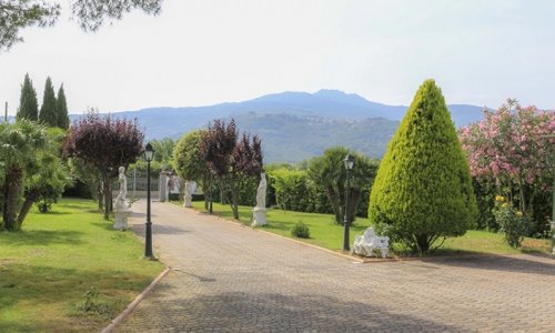 Apartmán Albero del Pepe - Marina di Campo