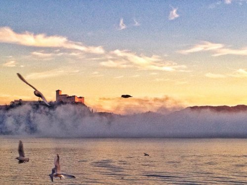 Hotel Le Palme - Dormelletto