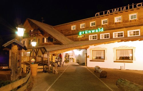 Hotel Grünwald - Cavalese