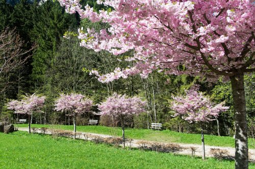 Hotel Bad Ratzes - Siusi allo Sciliar