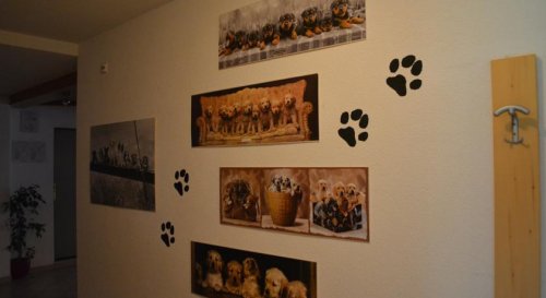 Hotel Sonja - Steinhaus