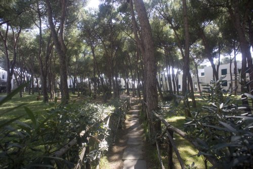 Hotel Giulivo - Baia Domizia