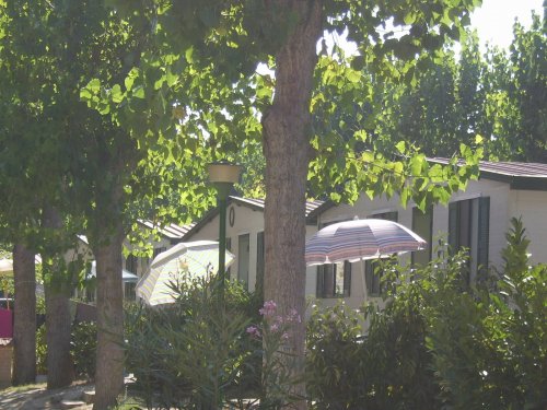 Camping Village Paradise - Porto Recanati