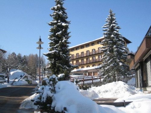 Hotel Des Alpes - Serrada