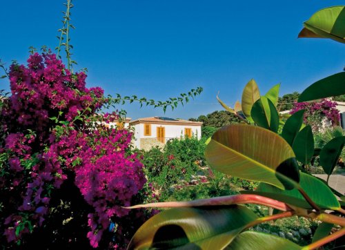 Villaggio Marco Polo - Santa Domenica di Ricadi