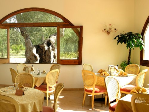 Hotel Magnolia - Vieste