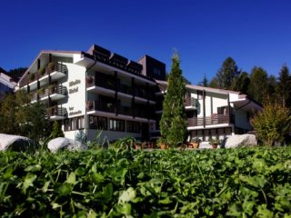 Hotel Alaska - Folgarida Hotel Alaska - Folgarida