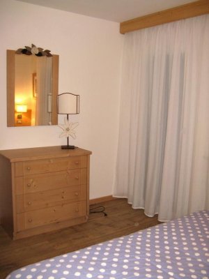 Stella Alpina - Campitello