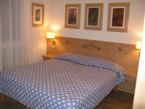 Stella Alpina - Campitello