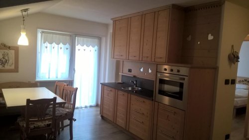 Stella Alpina - Campitello