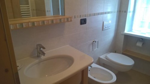 Stella Alpina - Campitello