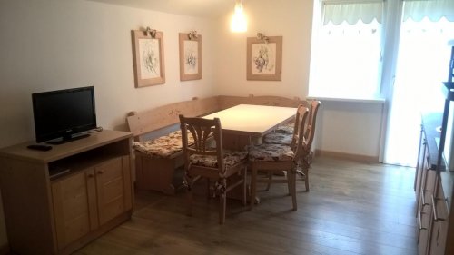 Stella Alpina - Campitello